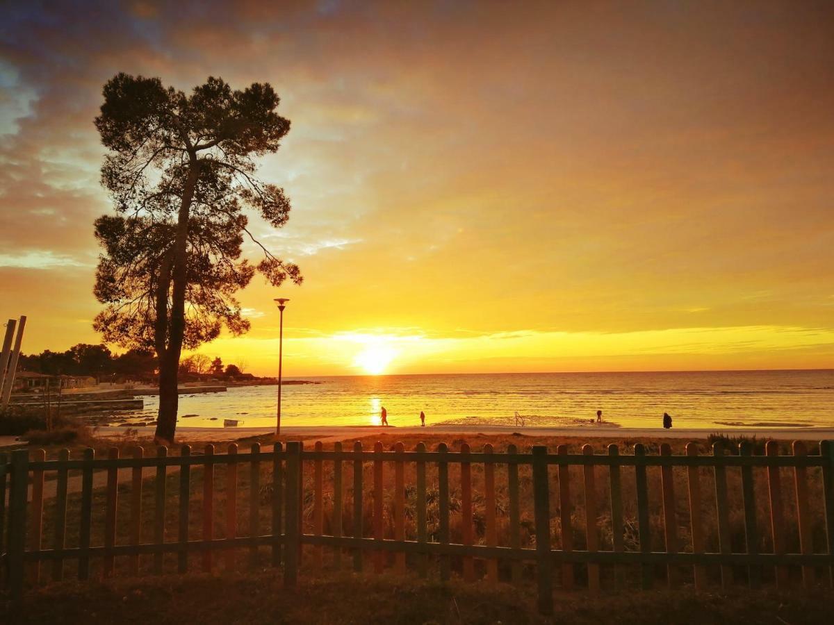 Jurisevic Umag